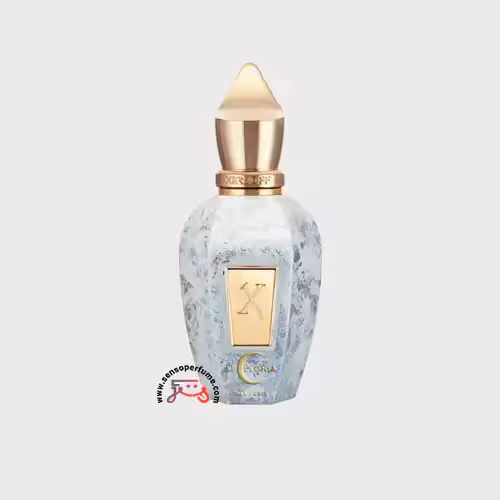 عطر ادکلن زرجف-زرجوف آپولونیا | xerjoff apollonia