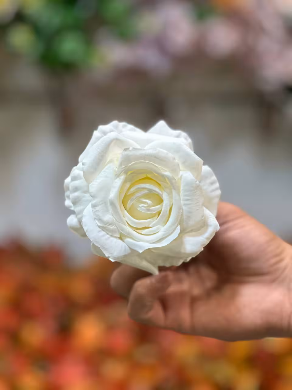 سر گل رز وارداتی سفید 10 عددی کپی