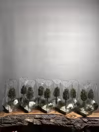 خرید گیفت شرکتی 10 عدد وابی کوزا طرح فاکس 35 Cm