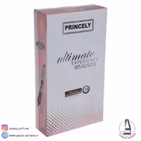 سشوار چرخشی پرنسلی مدل PR306AT