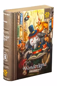 پازل 300 قطعه Wonder Land Library 2423