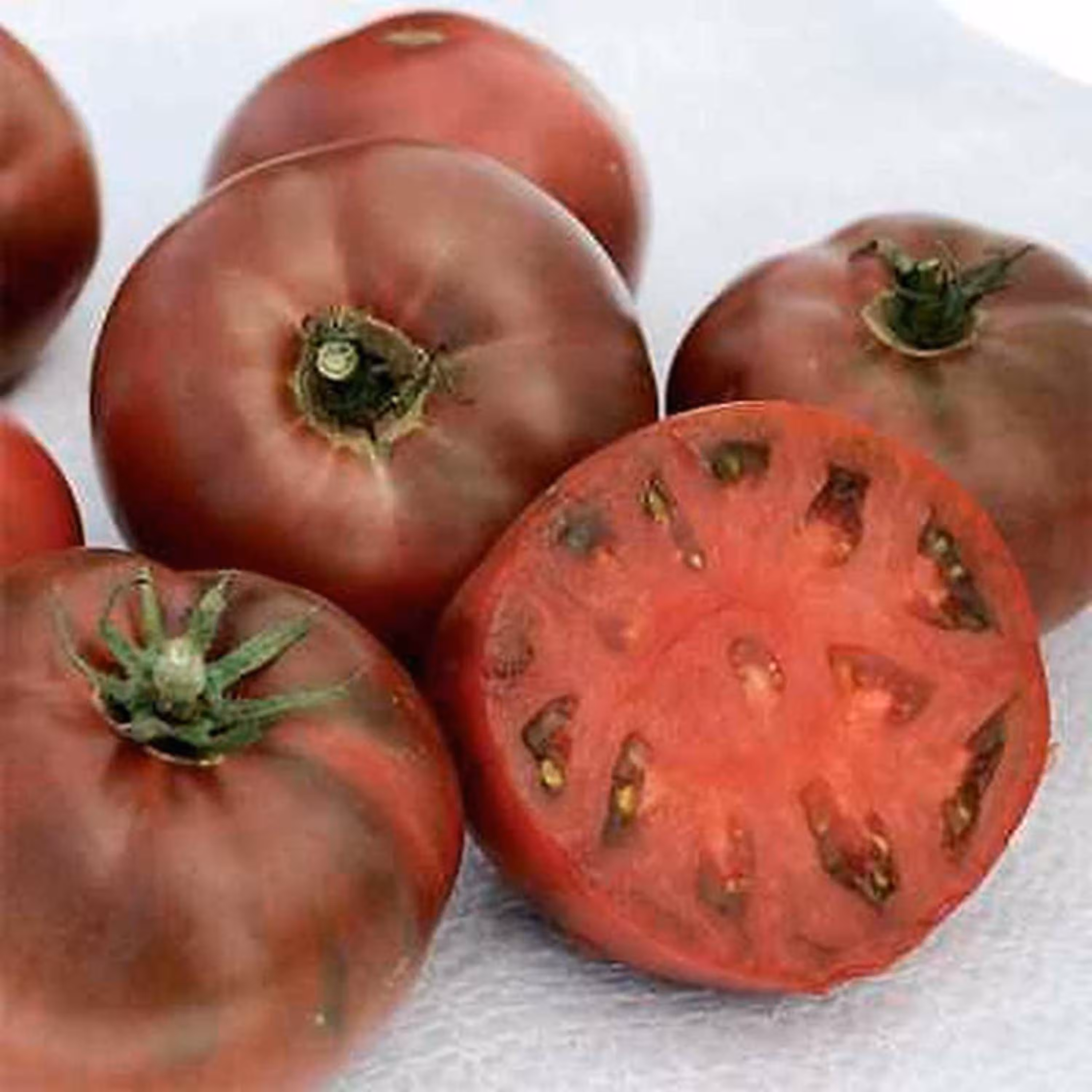 بذر گوجه فرنگی ارغوانی کربن آمریکایی بسته 10 عددی