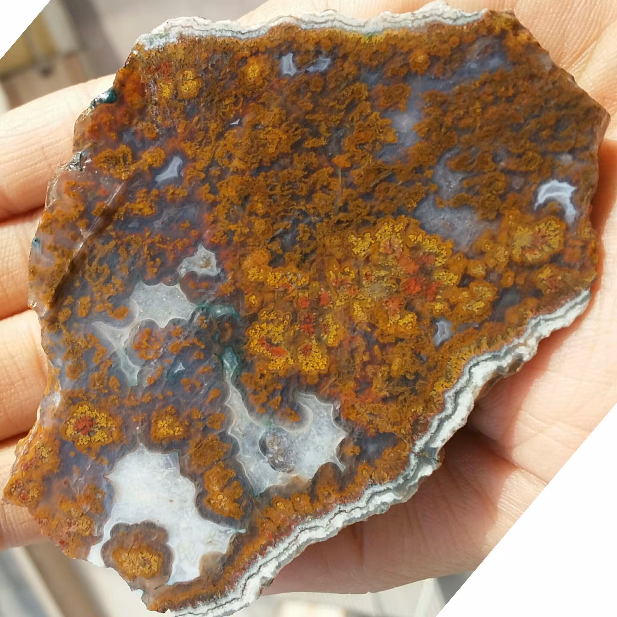 اسلایس سنگ راف عقیق شجر منظره 7رنگ محششر 100 در 100 طبیعی شاهکاار خلقت
تابلو نقاشی طبیعی
با قابلیت ساخت چندین نگین محشر 