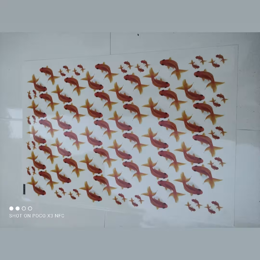 ترانسفر ماهی قرمز