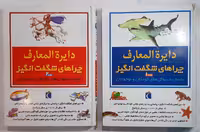 دایره المعارف چراهای شگفت انگیز