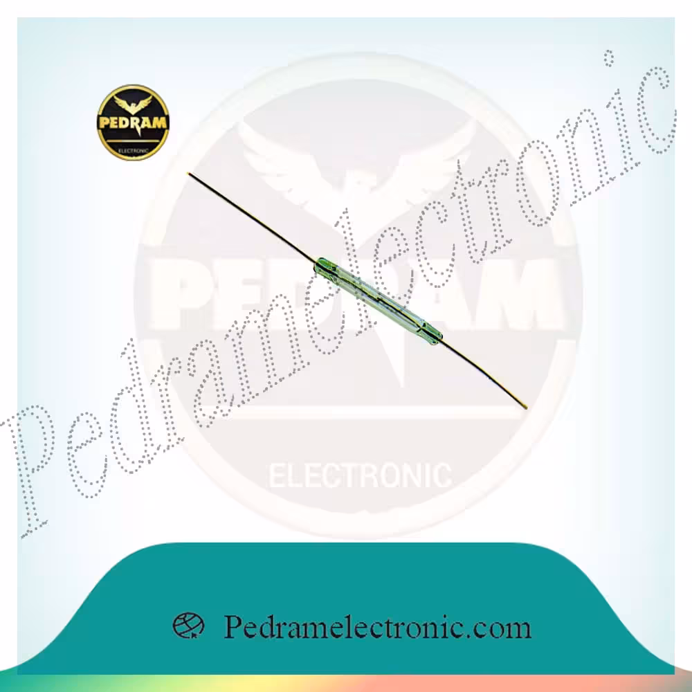 رید رله REED RELAY 1CM