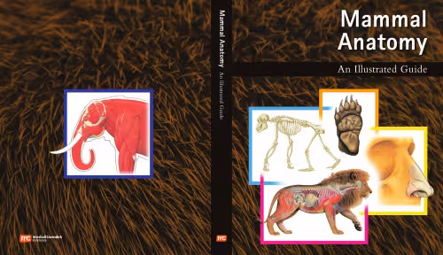 خرید و دانلود نسخه کامل کتاب Mammal Anatomy: An Illustrated Guide