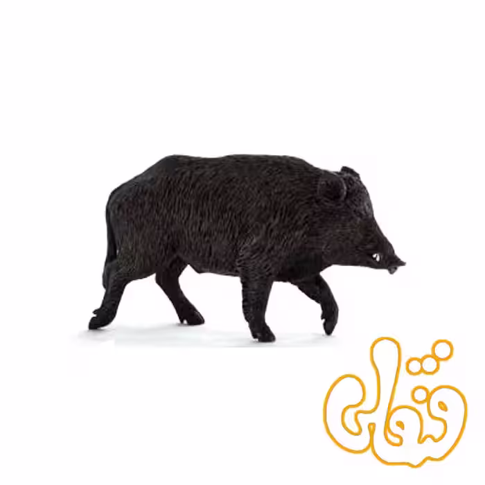 گراز وحشی Wild Boar 387160