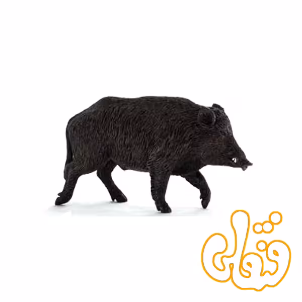 گراز وحشی Wild Boar 387160