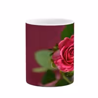 ماگ چیتوکالا مدل گل کد mgh16373