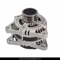 دینام تارا برند ویگور اصلی