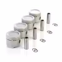 3107430 پیستون OHV-030 با خار و گژن پین (کارتک سیستم) EZAM