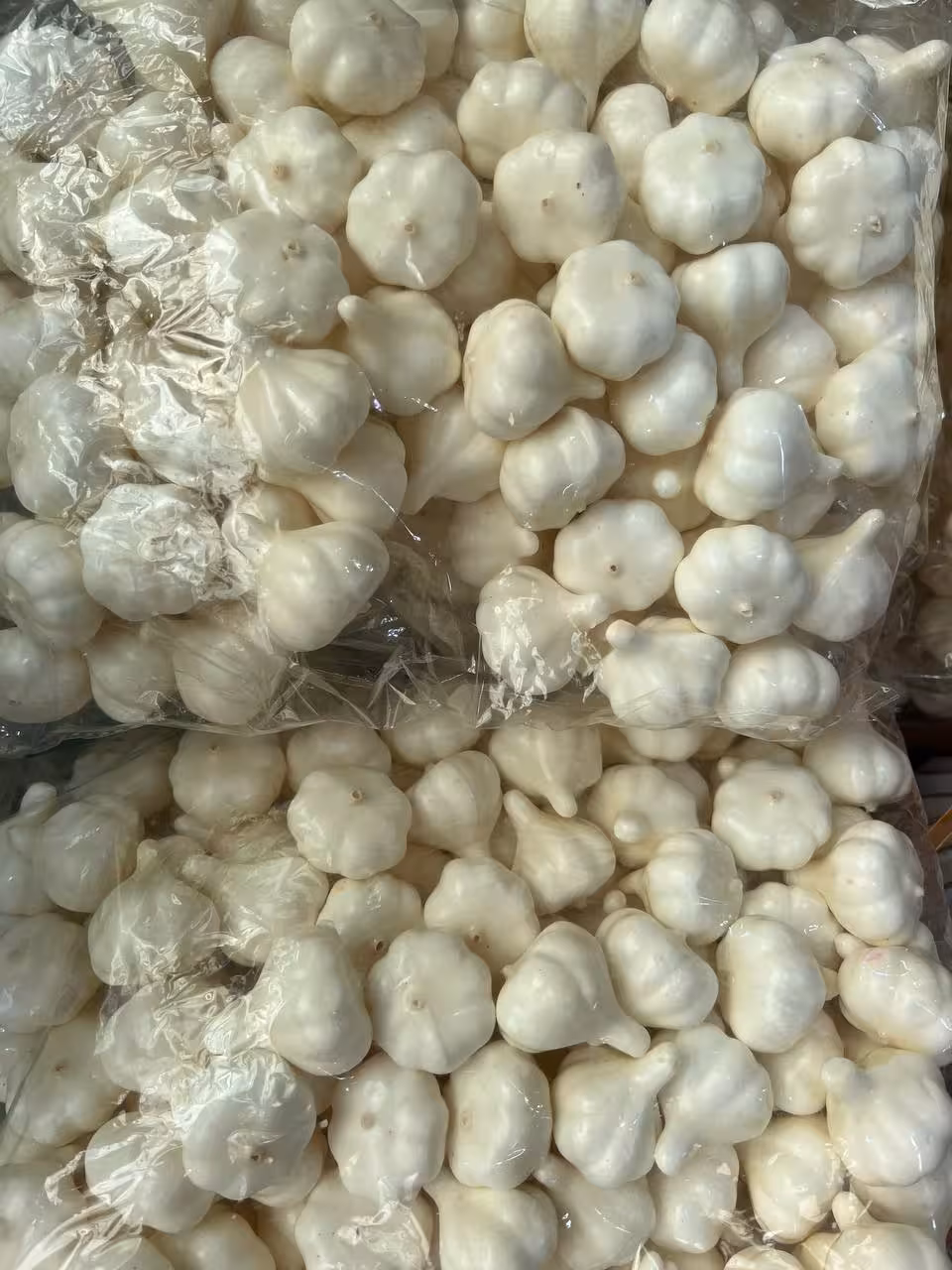 سیر مصنوعی سفید هفت سین