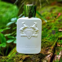 عطر ادکلن مارلی گالووی اصل | Parfums de Marly Galloway 125 ml