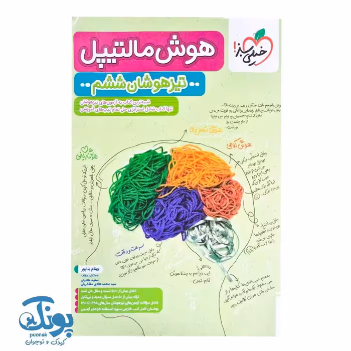 کتاب هوش مالتیپل تیزهوشان ششم خیلی سبز