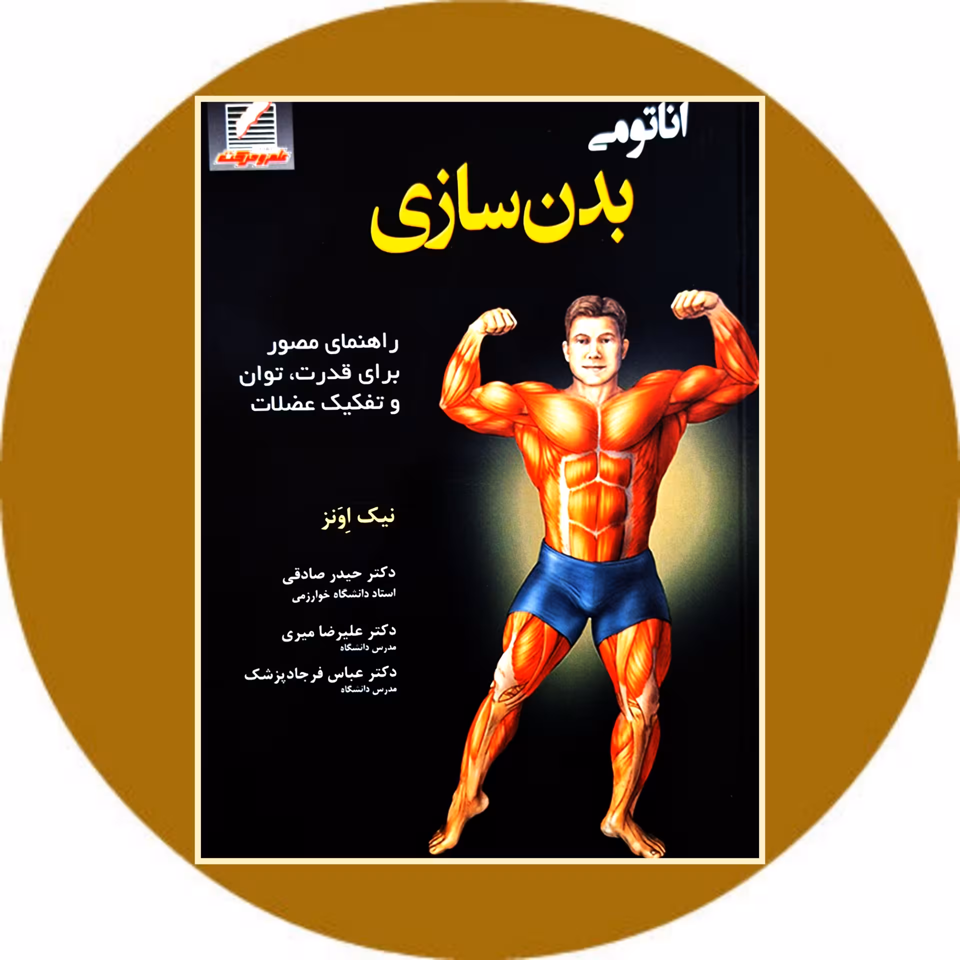 کتاب آناتومی بدنسازی - خرید با تخفیف چهل درصد ازکتاب دایره قهوه ای
