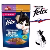 پوچ گربه فلیکس پورینا طعم مرغ و بره در ژله 75 گرم – روس نویس