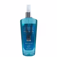 بادی اسپلش مردانه پرووا مدل Dunwill-Blue حجم 250 میلی لیتر