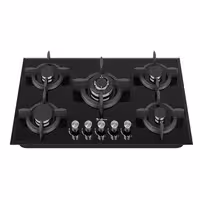 گاز صفحه‌ای شیشه‌ای داتیس مدل DG 536