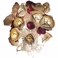 ریسه ال ای دی طرح گل کد 114 طول 6 متر