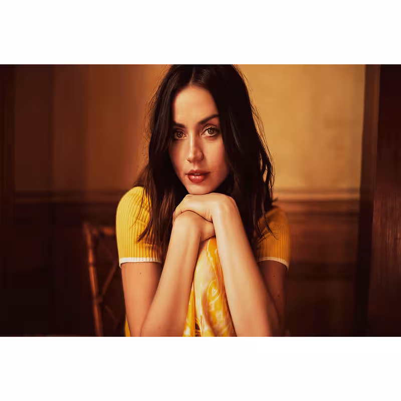 تابلو شاسی مدل بازیگر آنا د آرماس T6309 | دنیای قاب