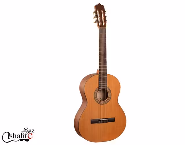 گیتار کلاسیک پارسی مدل M2