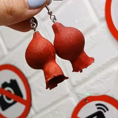 گوشواره انار درشت خشک یلدایی