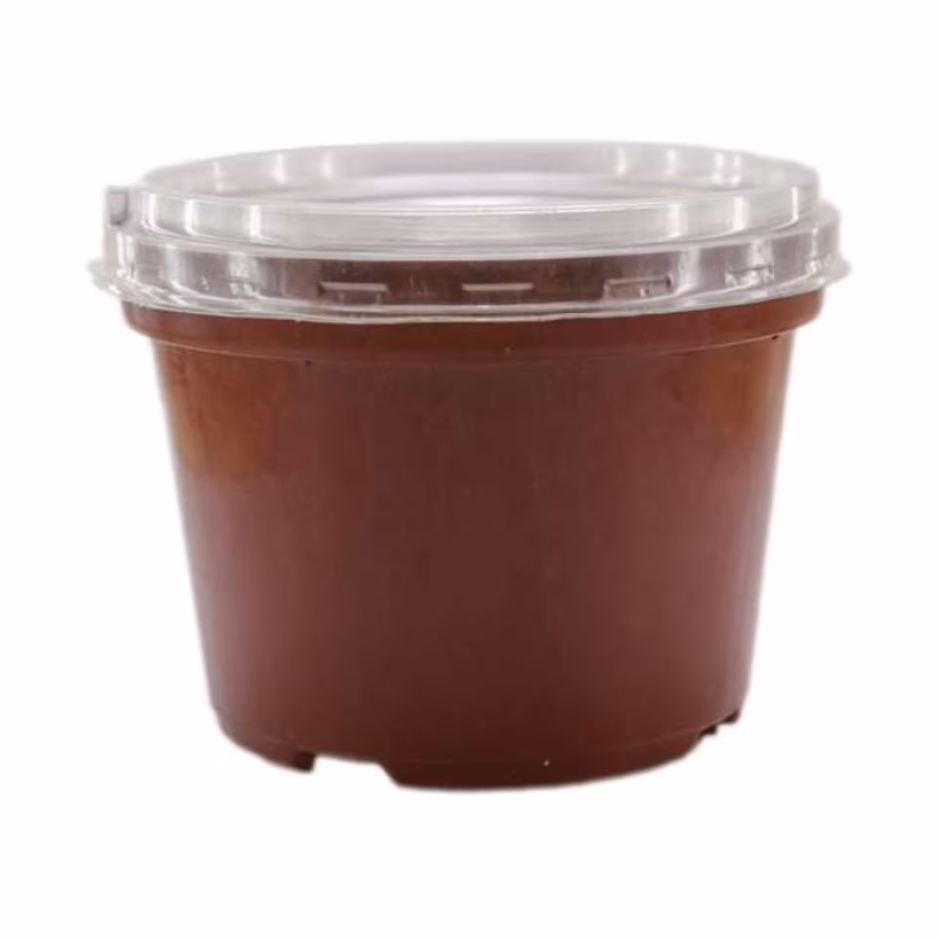 گلدان خزانه ای مناسب بذر کاری 