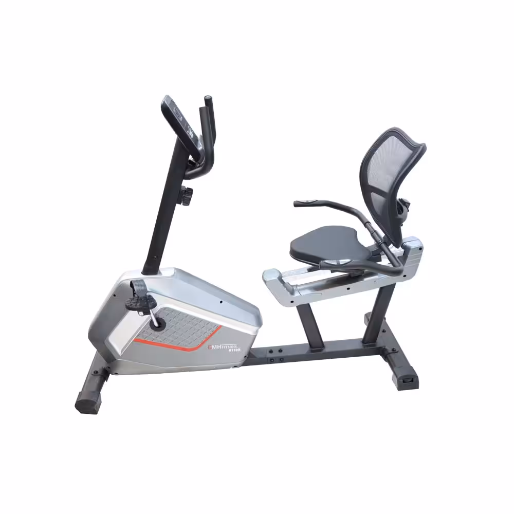 دوچرخه ثابت ای ام اچ مدل EMH 6110R