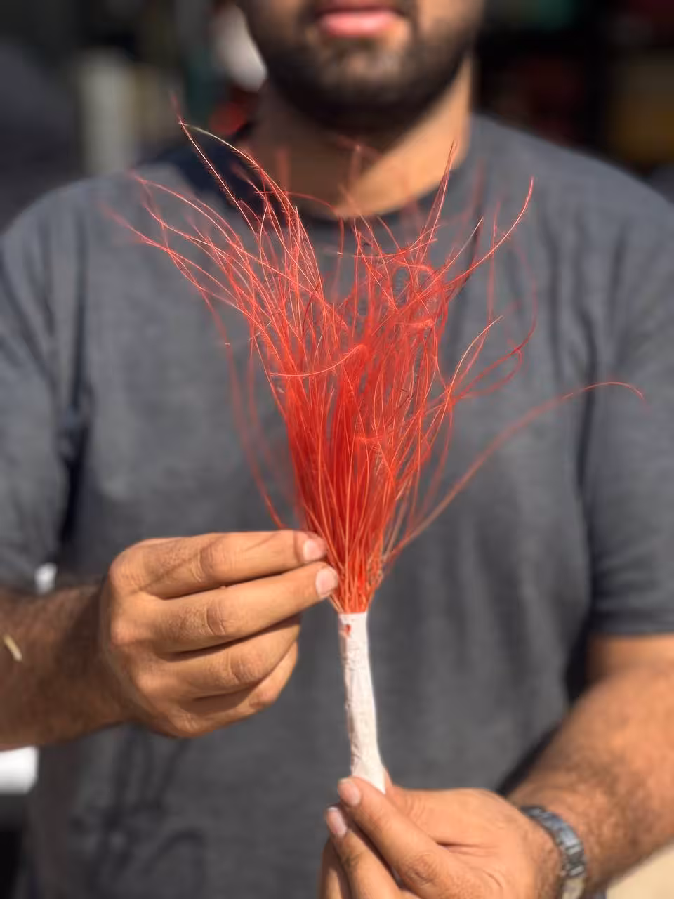 گل ریش بابا رنگ قرمز