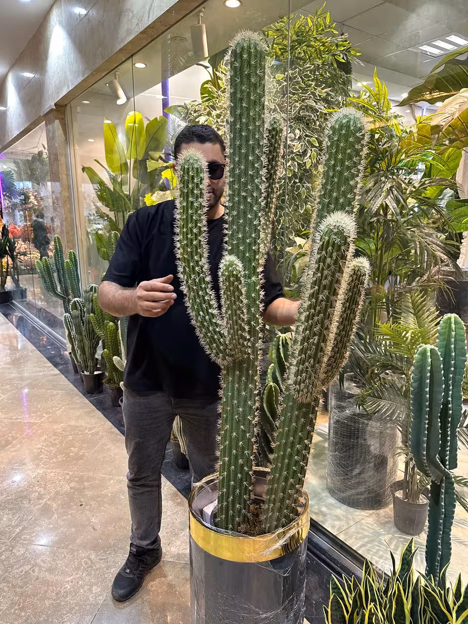 گیاه کاکتوس مصنوعی وارداتی