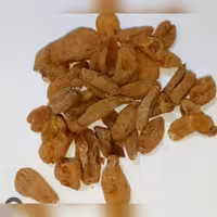 ثعلب قلوه 50 گرم  مناسب آقایان و کم خونی . سرفه . افزایش وزن  تقویت اعصاب 