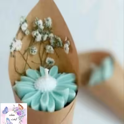 گیفت بابونه