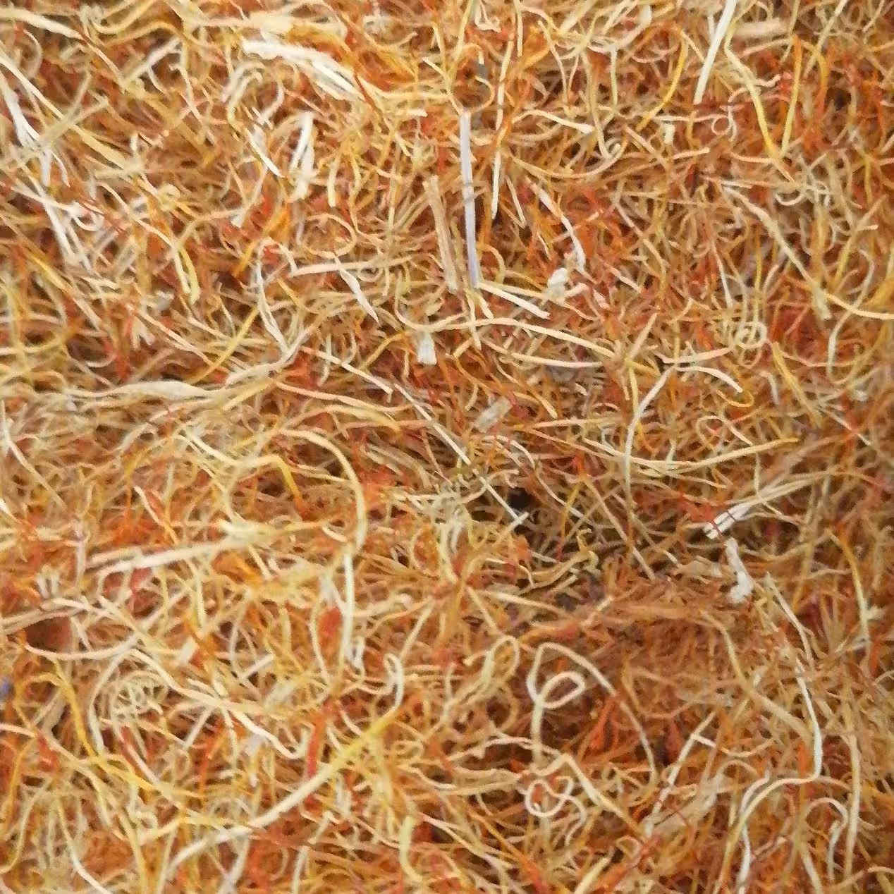 ریشه زعفران با قرمزی