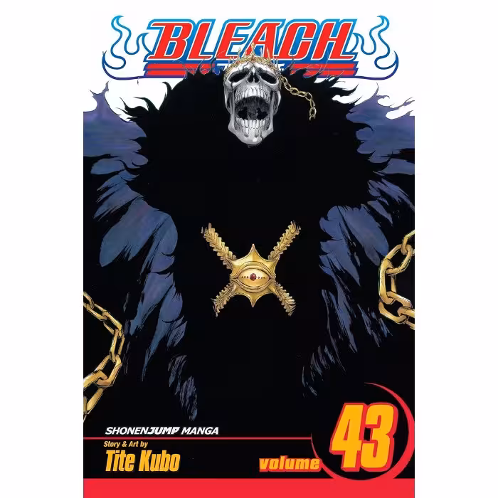 Bleach v43