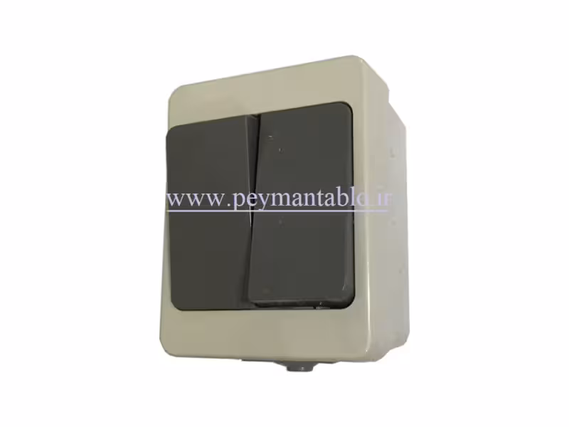 کلید دو پل روکار بارانی 220 ولت 16 آمپر (PART ELECTRIC)