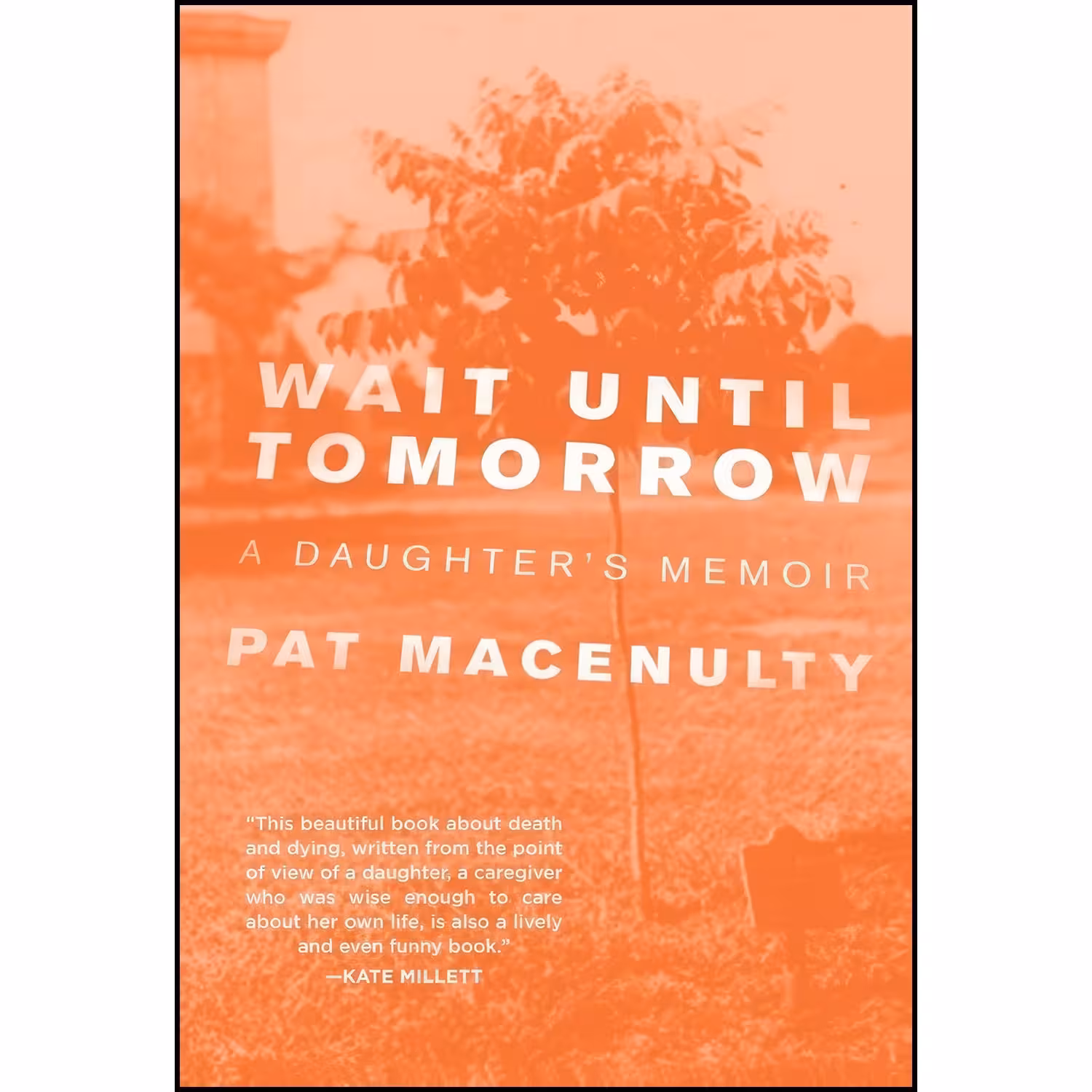 کتاب زبان اصلی Wait Until Tomorrow اثر Pat MacEnulty