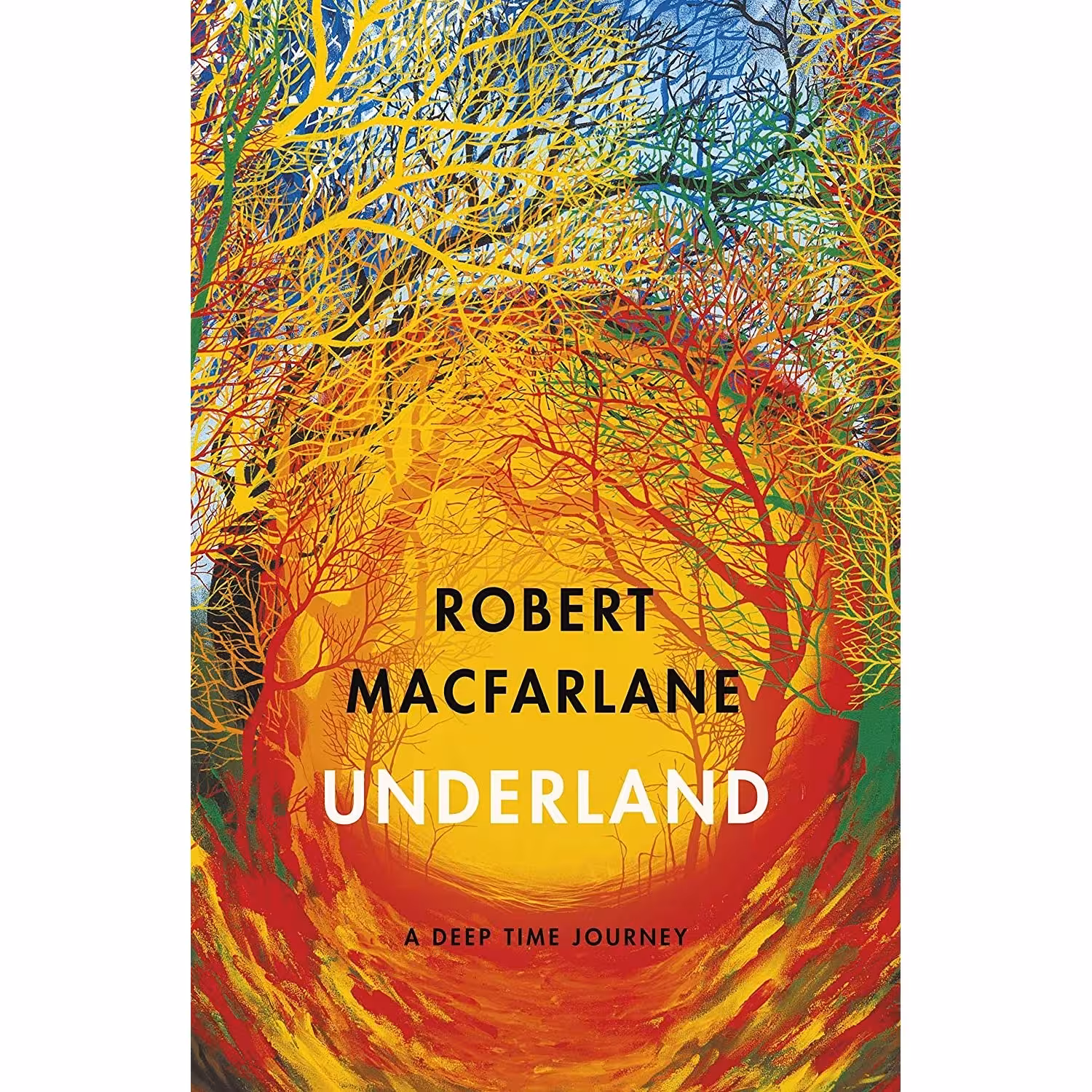 کتاب زبان اصلی Underland اثر Robert Macfarlane انتشارات Norton