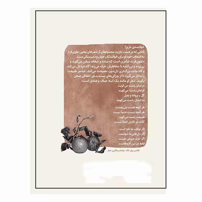 کتاب فصل تقسیم رویش اثر یحیی علوی فرد انتشارات گویا