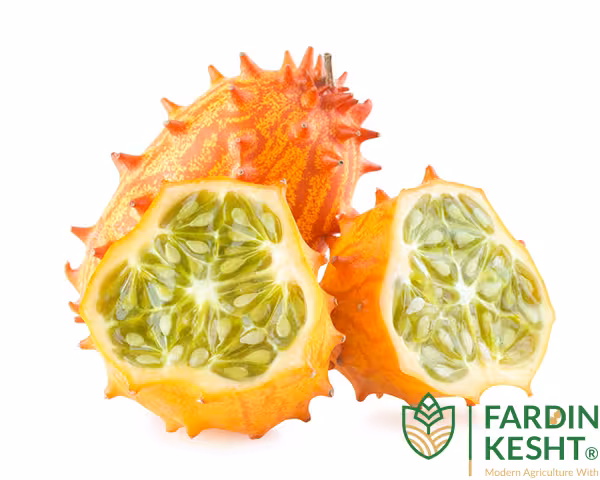 بذر کیوانو (خیار آفریقایی یا خربزه شاخدار) بسته 5 عددی