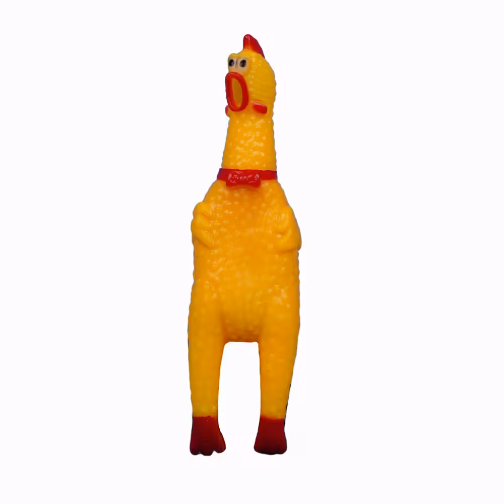 مرغ صدا دارloud chicken