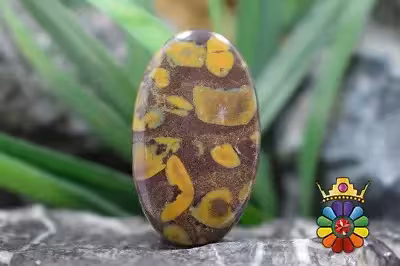 فوروت جاسپر  (جاسپر میوه ای)