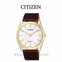 ساعت مچی سیتیزن مدل AR3074-03A
