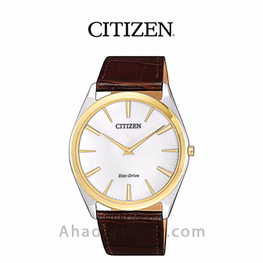 ساعت مچی سیتیزن مدل AR3074-03A