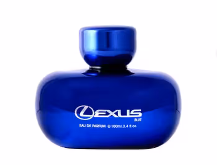ادوپرفیوم مردانه رودیر مدل  بلو لکسوس