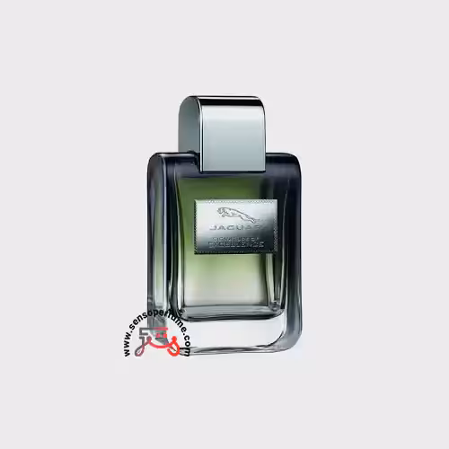 عطر جگوار سیگنیچر آف اکسلنس | jaguar signature of excellence