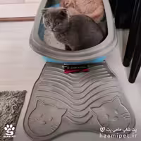 مت جلو ظرف خاک دنیل