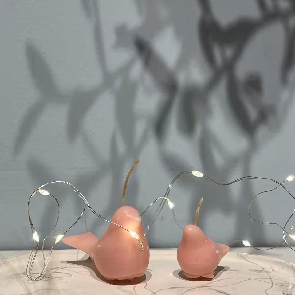 شمع کبوتر و جوجه