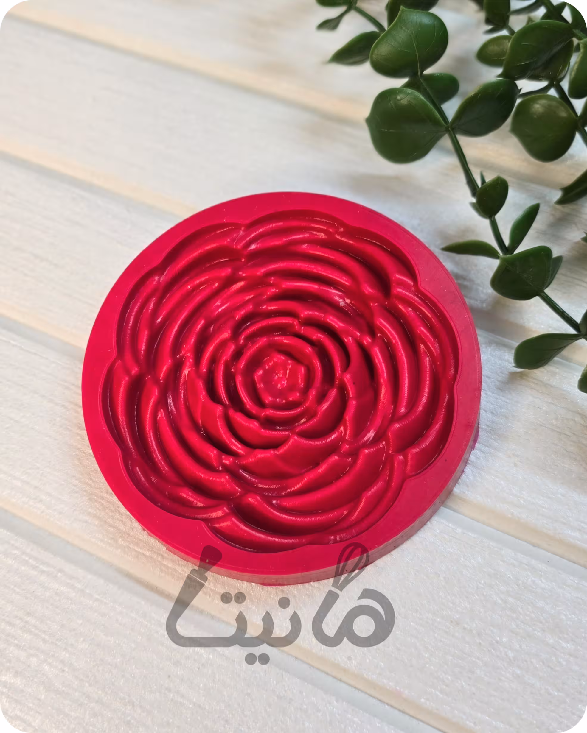 مولد گل رز باغی