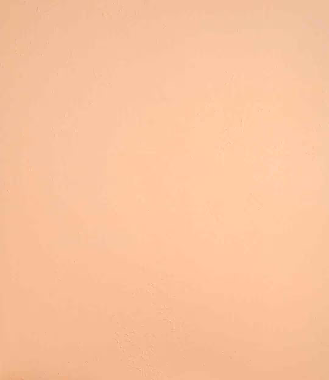 بک دراپ چوبی تکرنگ کد 230 (در 3 سایز)